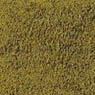 ターフ 緑褐色 (鉄道模型)