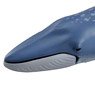 アニア AL-23 シロナガスクジラ (水に浮くVer.) (動物フィギュア)