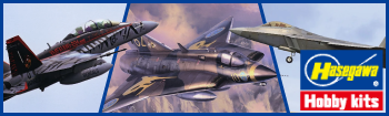 Hasegawa