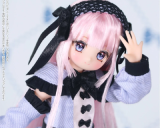 ドール