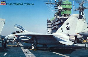 F-14D トムキャット `CVW-14` (プラモデル)