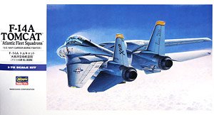 F-14A Tomcat Atlantic Ocean (Plastic model)