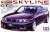 Nissan Skyline GT-R V-Spec (Model Car) Package1