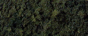 コースターフ 暗緑色 (鉄道模型)