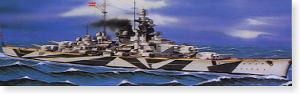 German Battleship Tirpitz (Plastic model)