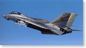 F-14A ブラックナイト (プラモデル)