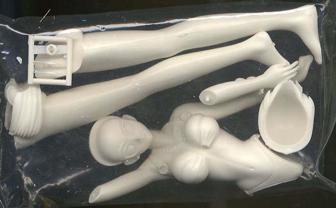 Ri Meifong Swimsuit Ver. (Resin Kit) 中身1