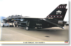 F-14D Tomcat VX-9 Vandy 1 (Plastic model)