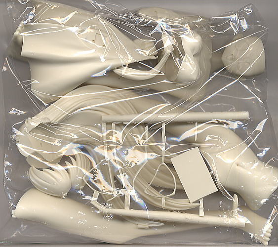 Hinomori Azusa (Swimsuit Ver.) (Resin Kit) 中身1