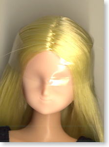 Edit Body(Slender)/01Head White skin-L.Brown hair (Fashion Doll)
