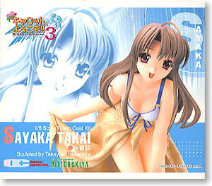 Takai Sayaka Swimsuit Ver. (Resin Kit) Package1