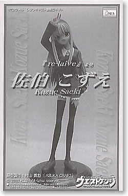 佐伯こずえ (ガレージキット) パッケージ1