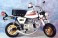 バイクミサト (ガレージキット) 商品画像2 サムネイル