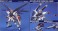 フリーダムガンダム (1/100) (ガンプラ) 商品画像2 サムネイル
