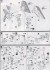 フリーダムガンダム (1/100) (ガンプラ) 設計図3 サムネイル