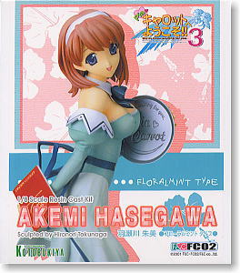 Hasegawa Akemi Floral Mint Type (Resin Kit) Package1