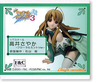Takai Sayaka Floral Mint Sexy Ver. (Resin Kit) Package1