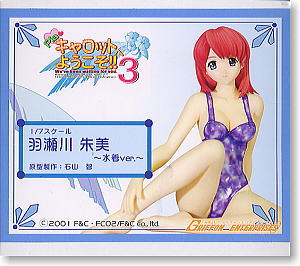 Hasegawa Akemi Swimsuit Ver. (Resin Kit) Package1