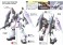 ブレイズザクファントム (レイ・ザ・バレル専用機) (HG) (ガンプラ) 塗装2 サムネイル