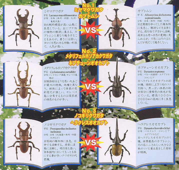 甲虫激闘編ファイティングパック 3個セット(フィギュア) 商品画像2