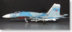 SU-27 ロシア空軍 #319 (完成品飛行機)