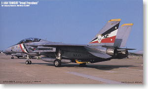 F-14D VF2バウンティハンター (イラク) (プラモデル)