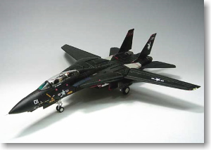 F-14A トムキャット VX-4 「バンディ１」 (ブラックバニー)★イリサワ限定 (完成品飛行機)
