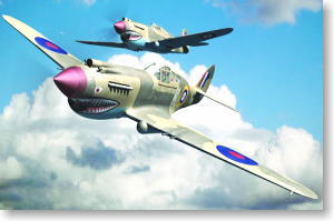カーチス P-40B ウォーホーク トマホークIIA (プラモデル)
