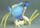 「もえたん」 トレーディングフィギュア 6個セット (フィギュア) 商品画像3 サムネイル