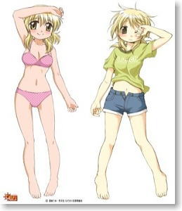 Hidamari Sketch Miyako Holding Dakimakura Cover (Anime Toy)