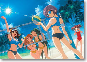 500 Piece Beach Volleyball (Anime Toy)