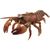 Creature of Waterside Insects & Crustacean 10 pieces (PVC Figure) Item picture5