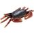 Creature of Waterside Insects & Crustacean 10 pieces (PVC Figure) Item picture6