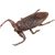 Creature of Waterside Insects & Crustacean 10 pieces (PVC Figure) Item picture1