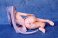 Hoshino Ruri 16 Years Old (Special 6) Kit Version (Resin Kit) 商品画像8 Thumbnail