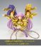 Saint Cloth Myth Appendix Scorpion Miro (Completed) 商品画像7 Thumbnail