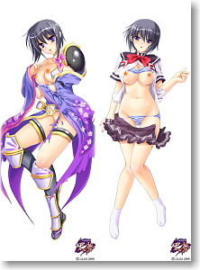 昇龍戦姫 天夢 新田静香抱き枕カバー (キャラクターグッズ)