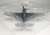 TBF-1C アベンジャー “ジョージ・ブッシュ” (完成品飛行機) 商品画像6