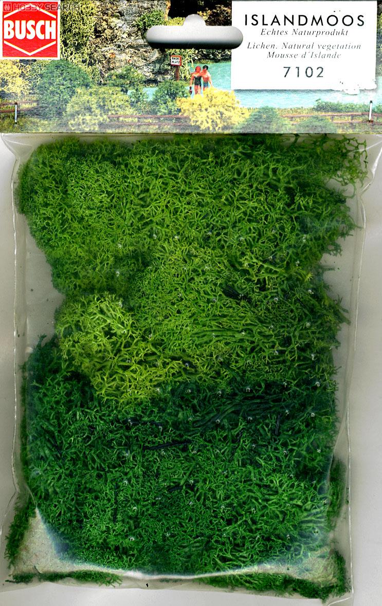 ライケン 緑 (Islandmoos/Lichen. Natural Vegetation) (鉄道模型) 商品画像2
