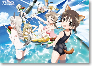 Strike Witches Bathroom Poster (Anime Toy)