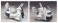 Space Shuttle (Plastic model) 商品画像2 Thumbnail