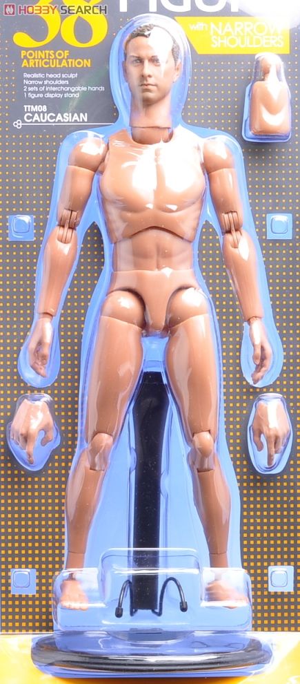 Hot Toys TrueType - Caucasian Male (New Generation Narrow Shoulders Version) Item picture2