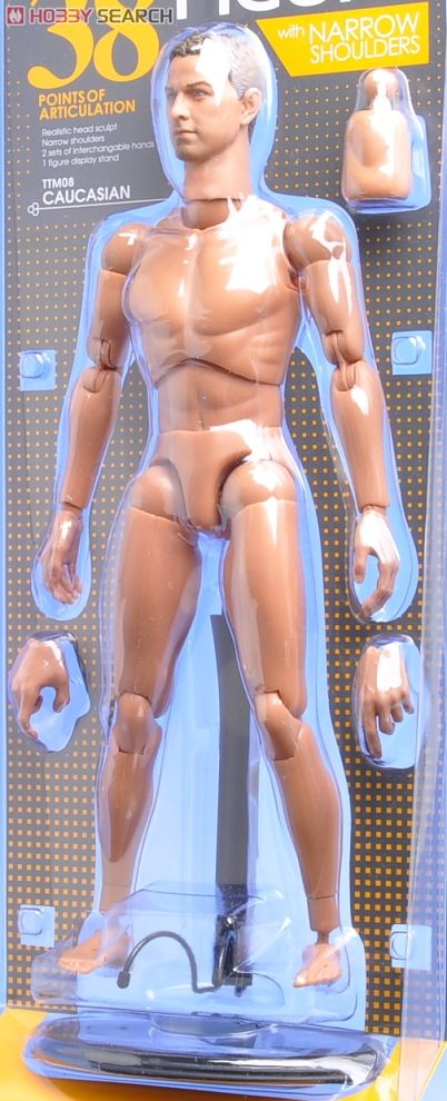 Hot Toys TrueType - Caucasian Male (New Generation Narrow Shoulders Version) Item picture3