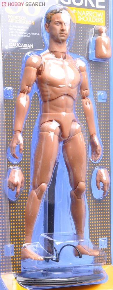 Hot Toys TrueType - Caucasian Male (New Generation Narrow Shoulders Version) Item picture4