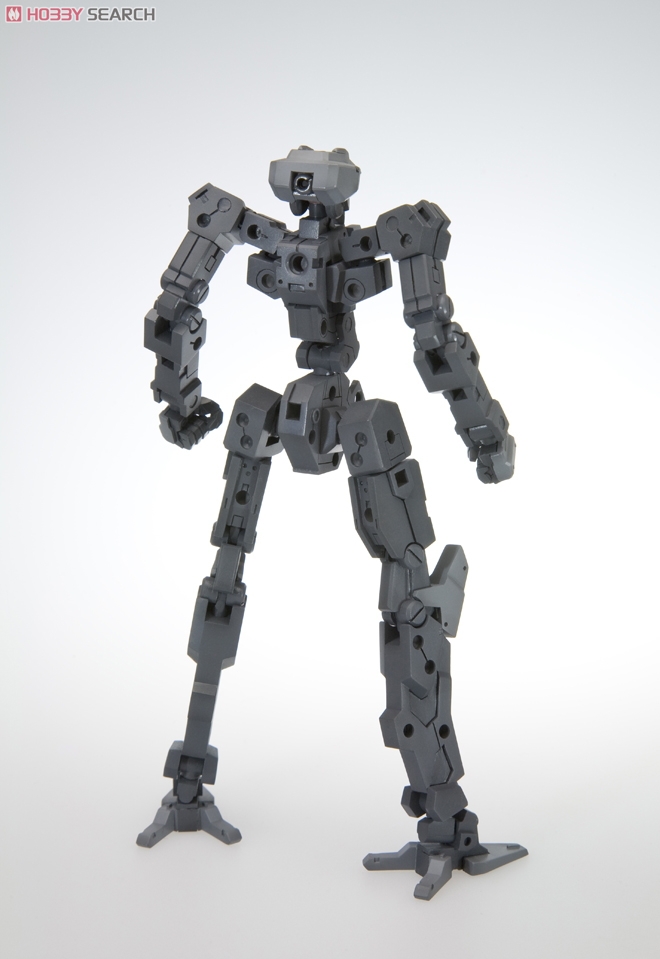 Frame Architect Type-001 (Plastic model) Item picture3