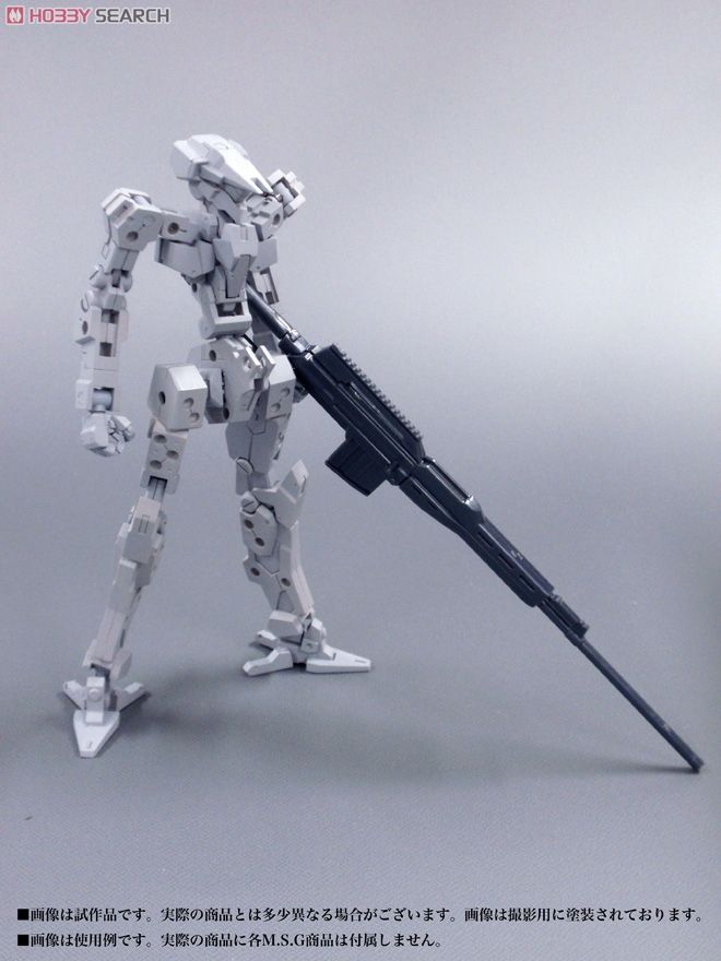 Frame Architect Type-001 (Plastic model) Other picture3