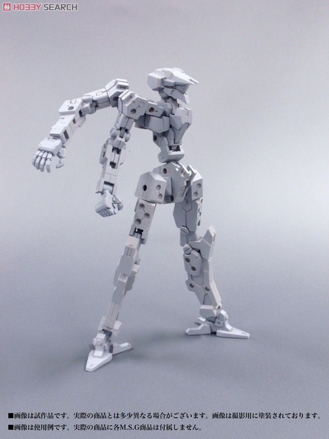 Frame Architect Type-001 (Plastic model) Other picture6