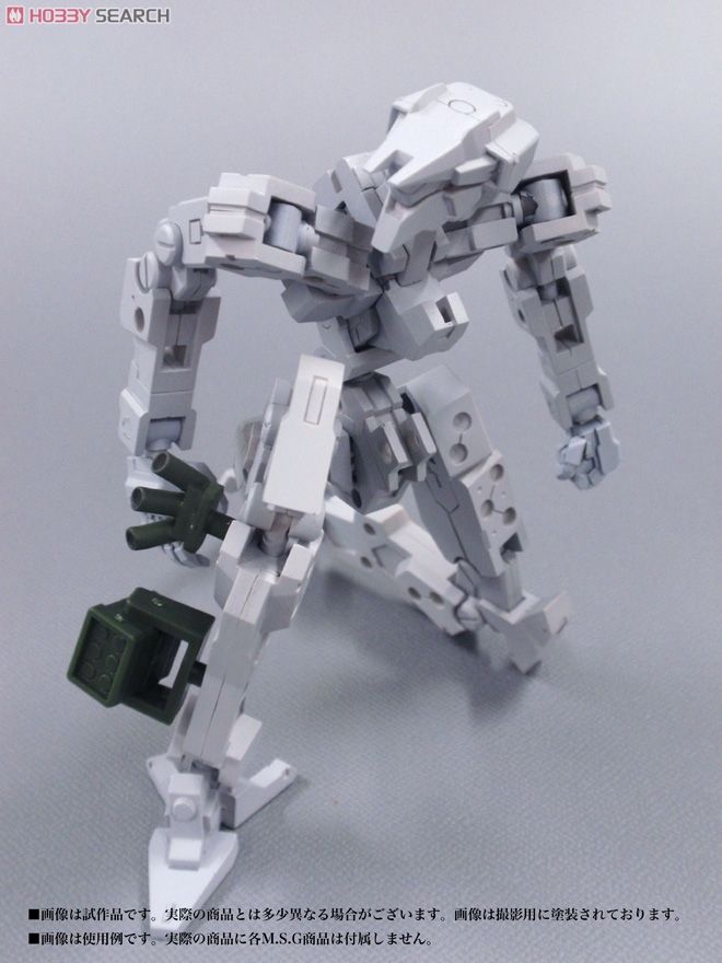 Frame Architect Type-001 (Plastic model) Other picture7