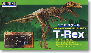 1/12 Tyrannosaurus Skeleton (Plastic model)