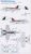 EA-18Gグロウラー VX-31 `ダスト デビルズ`＆F/A-18Eスーパーホーネット VFA-14`トップハッターズ` (プラモデル) 塗装2